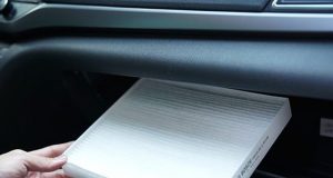 Polen Filtresi Nedir